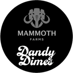 Mammoth_Dandy_Dimes